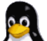 Penguin rising